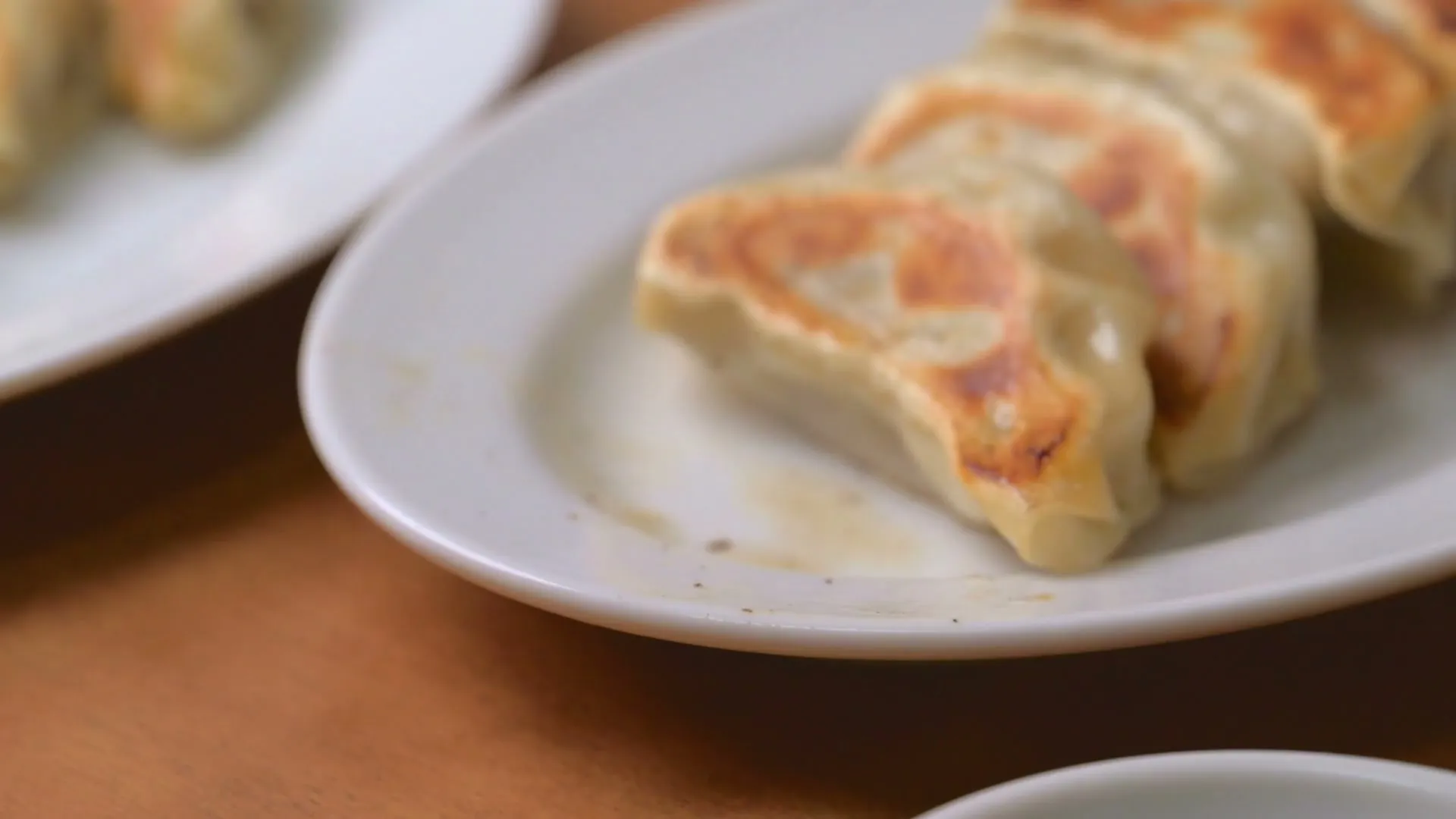 焼き目のついた餃子を紹介するPR映像の一場面